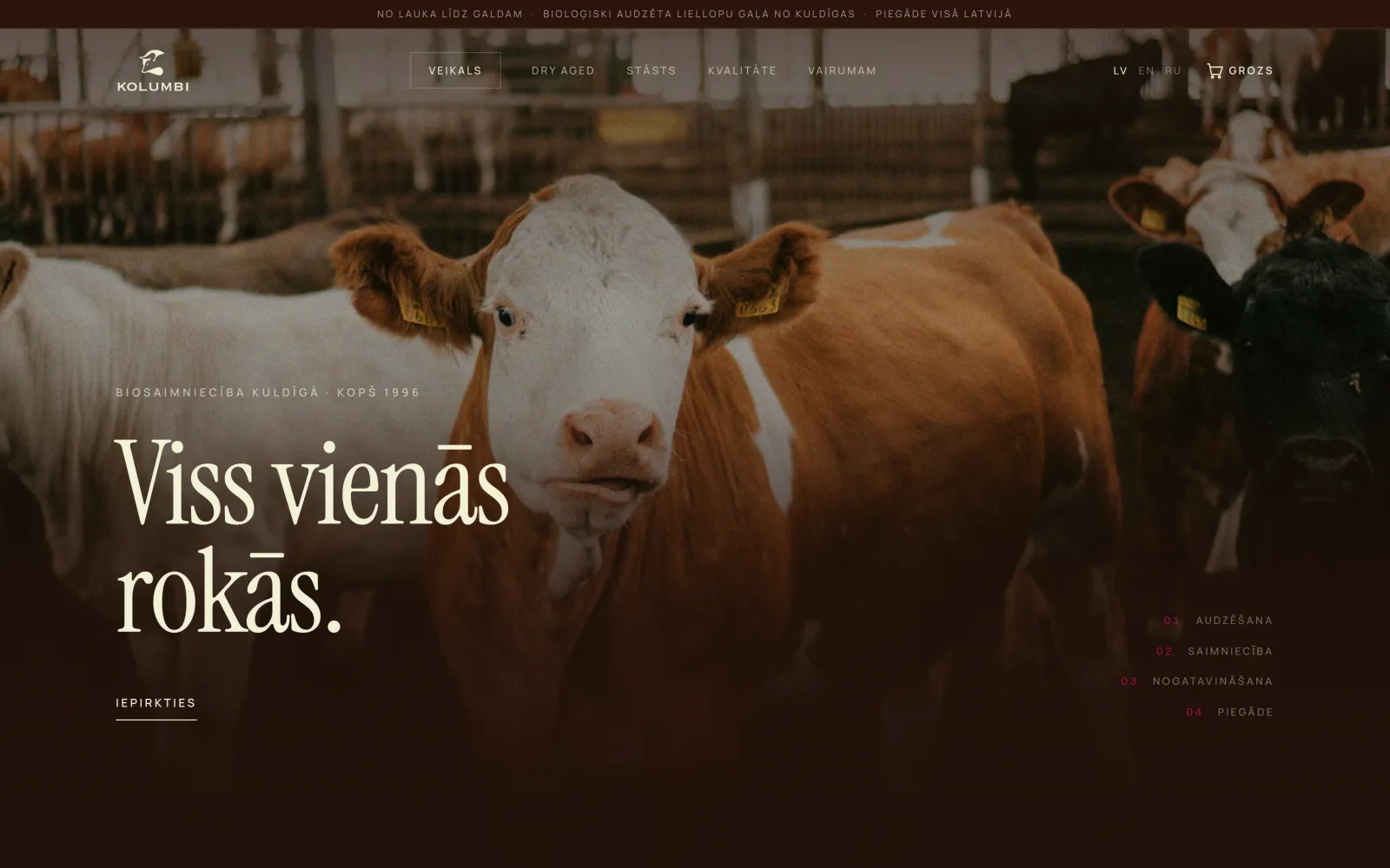 Kolumbi homepage: cattle at the farm and the line Viss vienās rokās